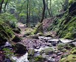 青梅・御岳山