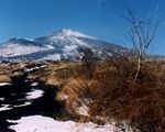 山梨