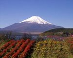 甲信越